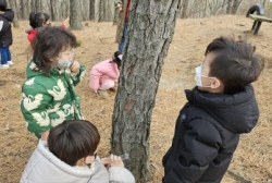 1월5주-나무껍질관찰&새둥지만들기