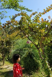 10월1주-또래에 가을이 찾아왔어요
