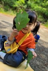 나뭇잎색칠하기&앵두따먹어요