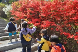 나비가 좋아하는 꽃을 찾아 여행을 떠나요