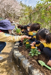 4월1주-꽃을심고 물을 주어요