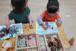 가을나무&솔방울케잌