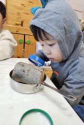 1월4주) 나무(껍질)관찰하기