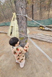 1월5주) 겨울 나무 관찰하기