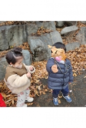 12월2주) 비온뒤풍경보기, 달팽이찾아보기
