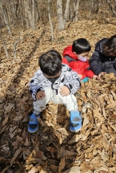 12월1주) 숲놀이 - 낙엽썰매타기,나뭇잎 이불 덮어주기
