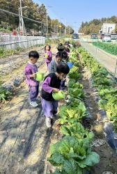 11월1주) 실외놀이터, 텃밭활동