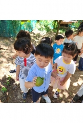 9월1주) 숲놀이터 - 감 관찰하기, 동물곤충 찾기 놀이