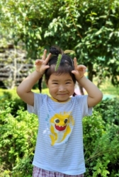 9월1주) 강아지 풀로 꼬리잡기 놀이, 예쁘게 머리 꾸며보기