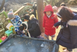 12월3주-얼음이 꽁꽁(얼음관찰해요)
