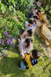 10월1주-허브 관찰 후 자세히 그려보기 향맡기