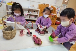 9월3주) 고구마 놀이( 고슴도치만들기, 수 헤아리기, 크기별 나열하기)