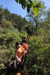 실외놀이-텃밭관찰하기,배추잎 신체로 크기 재어보기