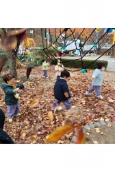 11월3주- 낙엽과 바깥놀이해요^^