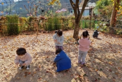 11월2주 - 낙엽썰매타기
