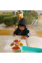 11월1주- 자연물로 가을을 꾸며요!