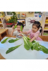 11월3주) 크기별로 분류해보기