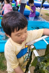 7월3주) 썸머축제( 미끌미끌 미역놀이, 개구리 잡기)