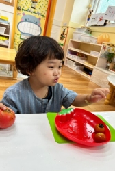 7월2주) 토마토 오감놀이(썰어보기, 쥬스만들어 보기)
