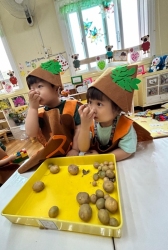 6월2주(실내놀이-치아모형탐색하고 양치놀이하기,감자옷입고놀이하기,감자모양도장찍기)