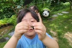 7월2주놀이활동:호기심놀이터에서 물놀이도하고 매미잡기도  했어요