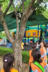 6월5주 실외놀이와 숲놀이