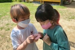 5월3주놀이활동:미꾸라지잡기와 보리관찰 달팽이찾기는 언제나 신나하는 모습이에요