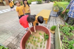 6월3주:생태선생님과 모내기를 해보있어요