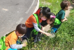 5월4주숲놀이<곤충채집>