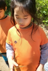 5월1주숲놀이:아까시꽃도보고 물웅덩이에 개구리도 만나 신나는날~친구들과 풀반지도 만들어 서