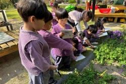 10월3주 (허브프로젝트-허브 관찰하고 그려보기, 허브 향 맡고 제배하기)