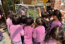 5월2주 (실외활동-꽃 관찰하고 물주기, 곤충관찰, 병아리 관찰)