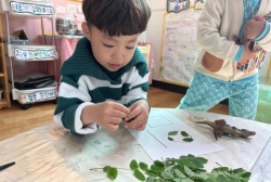 5월2주 (실내활동-아카시아 잎으로 이름 적기)
