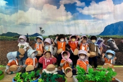 4월3주-봄나물 축제 행사