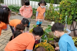 10월1주-세시풍속(중량절-국화꽃 관찰후 그려보기)