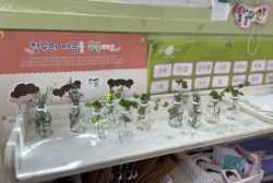 9월 1주 - 허브를 관찰하고 물꽂이를 만들어요