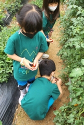 8월1주: "진흙아 놀자" 흙놀이활동 숲해설가선생님과 흙으로 놀이하기,도자기교실화병만들기체