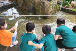 7월3주썸머축제:블루데이 물놀이와 알뜰바자회시장놀이