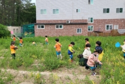 5월5주) 곤충잡기 놀이를 했어요.