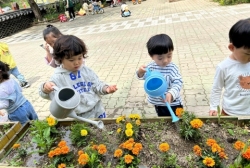 5월2주) 딸기 꽃, 봄 꽃 관찰 후 물 주기