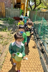 4월4주(산책- 감자싹관찰후 물주기)