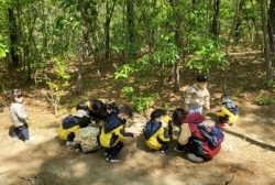 4월4주(숲활동-봄꽃 찾아보며 꽃반지 만들어보기))