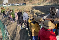 12월 1주 - 배추를 뽑아요!