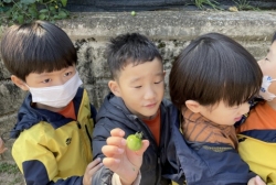 10월 4주 - 토마토를 관찰해요