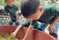 6월 2주 - 모내기를 해요!