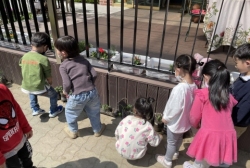 3월5주 - 딸기 모종을 심어요