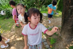 7월4주-피아노(이집트),무지개물고기,비경쟁놀이,곤충관찰하기,마술&인형극