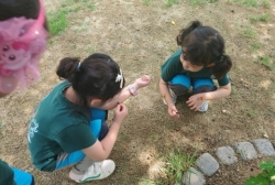 6월2주-버찌로 놀이해요.