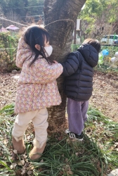 겨울나무 따뜻하게 안아주기