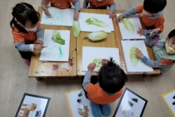 배추뽑아 관찰하고 끼적이기